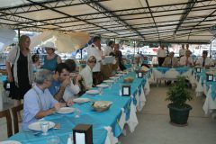 82gallipoli