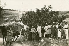 avecleshabitantsducoin