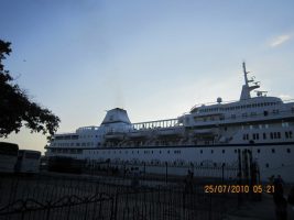 s1097