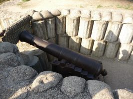 s1196
