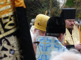 p1120453