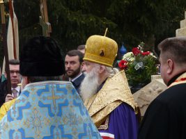 p1120486