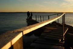 SONY DSC
