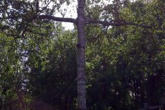 img-20110809-00052
