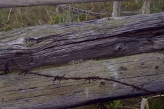 img-20110816-00141