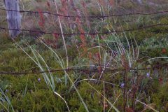 img-20110816-00142