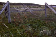 img-20110816-00143