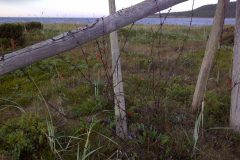 img-20110816-00144