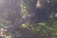 img-20110817-00159