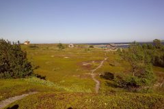 img-20110819-00258