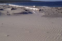 img-20110819-00270