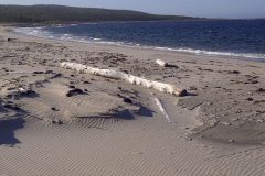 img-20110819-00271