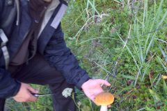 img-20110819-00292