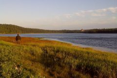 img-20110819-00306