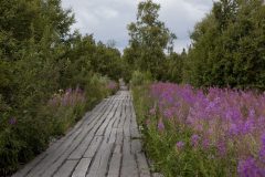 mg_8499-18