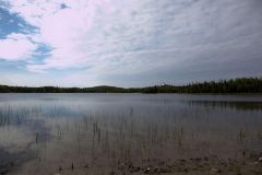 mg_8500-19