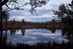 mg_8642-39