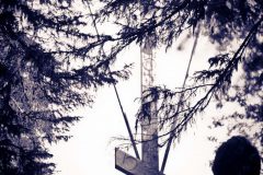 mg_8779-59