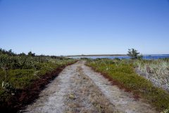mg_8849-68