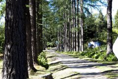 mg_9508-142