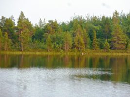solovkis-2-074