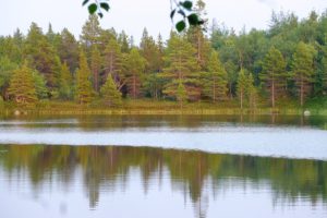 solovkis-2-078