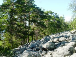 solovkis-2-119