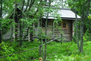 solovkis-2-139