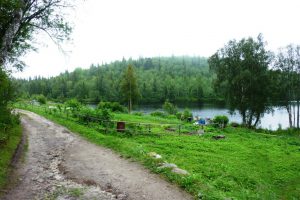 solovkis-2-146