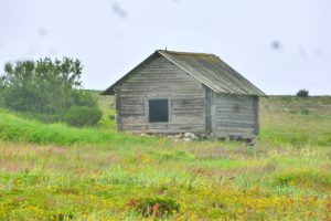 solovkis-2-159